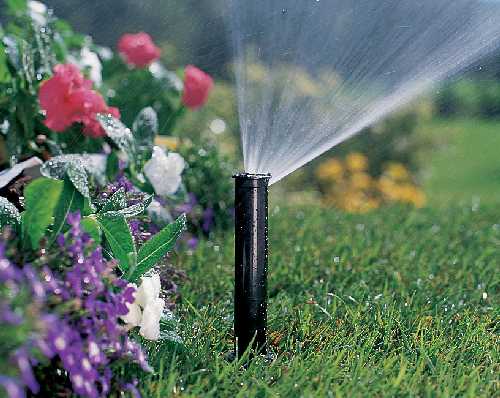 Автоматические системы для полива вашего сада