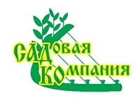 логотип бренда Sadko