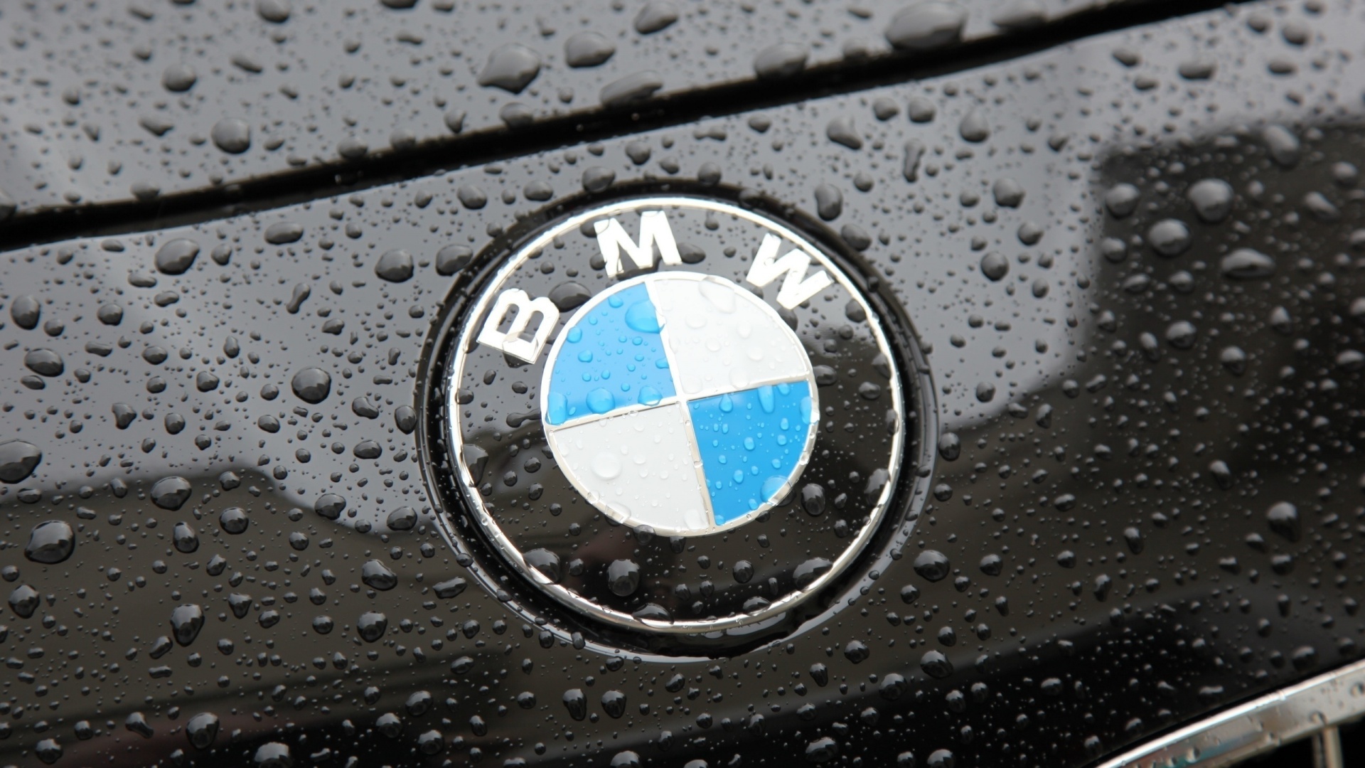 BMW логотип бренда