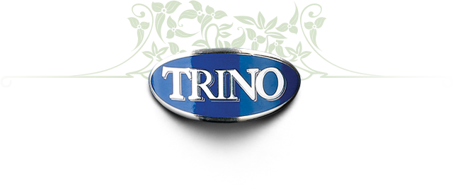 TRINO логотип бренда