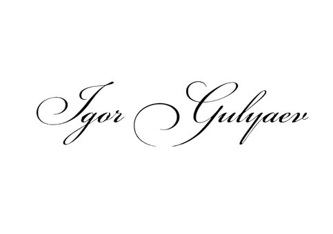 Igor Gulyaev логотип бренда