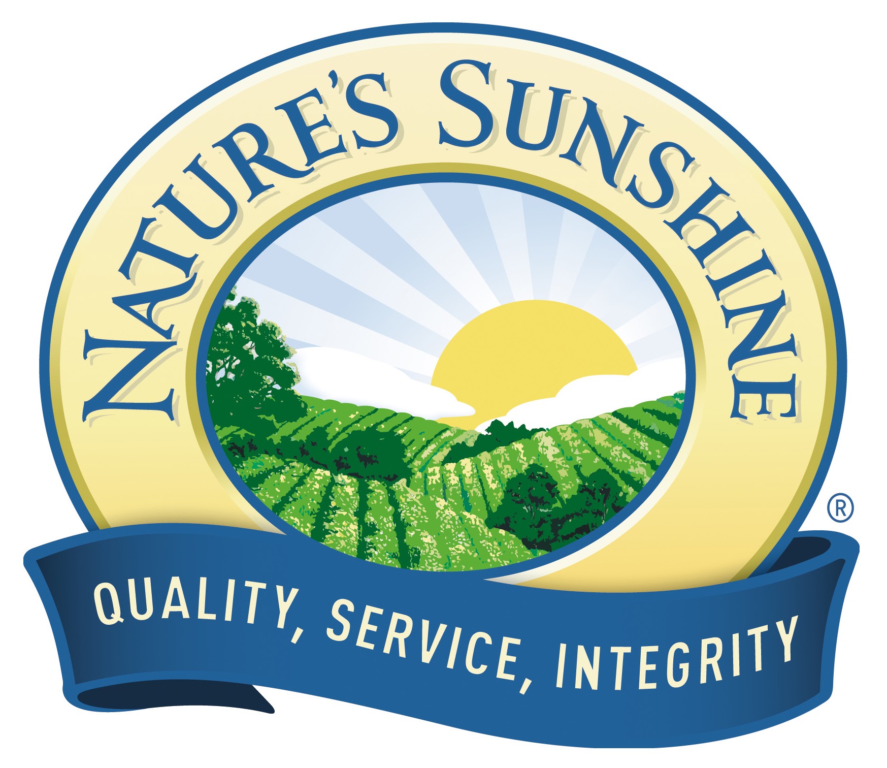 NSP логотип бренда