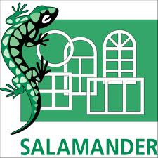 логотип бренда Salamander