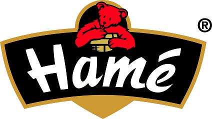 логотип Hame