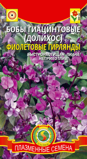 Бобы гиацинтовые (Долихос) Фиолетовые гирлянды