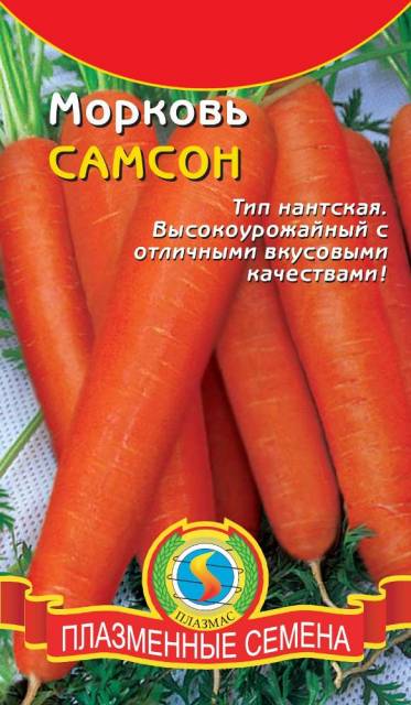 Морковь Самсон Описание Отзывы Фото