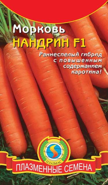 Морковь Нандрин F1